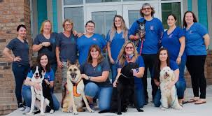 Apply to veterinary receptionist, receptionist, content writer and more! Our Veterinary Team Surf City Pet Hospital