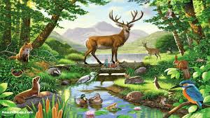 Check spelling or type a new query. Nature Wallpaper With Flowers Image Good Morning Photo Forest With Animals Drawing 1920x1080 Wallpaper Teahub Io