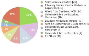 Image result for Xylopia collina