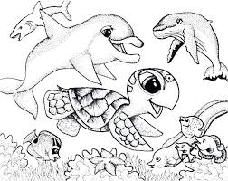 Baby Turtle And Baby Fish Coloring Pages Turtle Coloring Pages Coloring Pages Fish Coloring Page