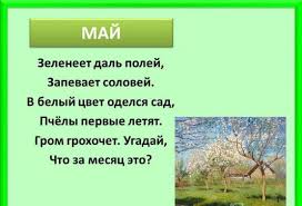 Детские загадки для детей 8 9. Смешные загадки с подвохом для детей и взрослых. Загадки о представителях фауны