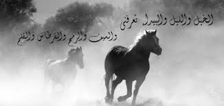 خلفيات خيول مكتوب عليها شعر صور خيول بها اشعار و حكم حنين الذكريات