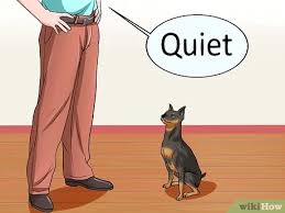 4 Ways to Train Dogs Not to Bark - wikiHow Pet