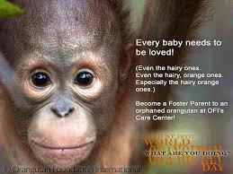 Check spelling or type a new query. How To Become A Monkey Arxiusarquitectura