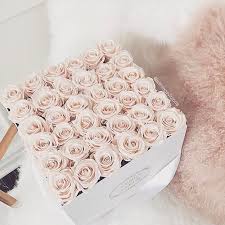 And they last a whole year. jessie james decker was given a box of pink and purple roses from venus et fleur. Venus Et Fleur Venus Et Fleur The Flowers That Last A Year I Love The Blush Roses With White Box Luxury Flowers Box Roses Flowers Bouquet