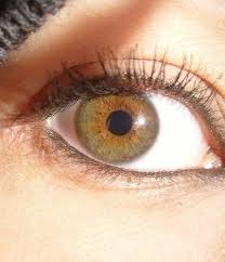 What Is The Difference Between Amber And Hazel Eyes Quora Hazel Green Eyes Hazel Eyes Hazel Brown Eyes