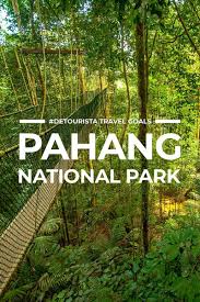 I want to help you get inspired to start a trip and achieve your travel goals. Best Places To Visit In Pahang Taman Negara For First Timers Detourista Where To Go In Pahang Taman Nega Taman Negara Malaysia Travel Cool Places To Visit