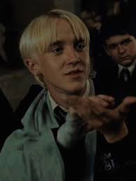 Bee's unusual behavior of licking human skin