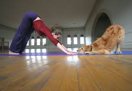 Schoohouse Doga Dog Yoga Dog Love I Love Dogs