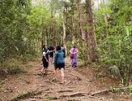 Forest Therapy India (@forest.therapy.india) • Instagram ...