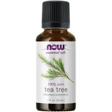 Maple holistics tea tree shampoo isn't just a natural shampoo enhanced with tea tree oil. Now Essential Oils Tea Tree Oil Cleansing Aromatherapy Scent Steam Distilled 100 Pure Vegan Child Resistant Cap 1 Ounce Walmart Com In 2020 Natural Hair Oils Hair Growth Oil Hair Oil