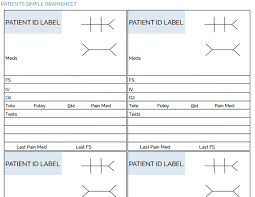 The Ultimate Nursing Brain Sheet Database 33 Nurse Report