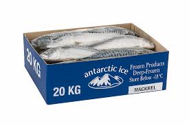 Mackerel box
