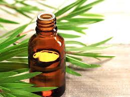 Baby body hair can be removed by using natural ingredients found in the common household in a safe and easy home remedies for baby hair removal. Tea Tree Oil For Warts Benefits Uses And Does It Work