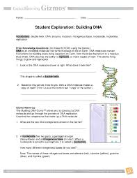 Pdf Student Exploration Building Dna Fgbfrger Ergreeg Academia Edu