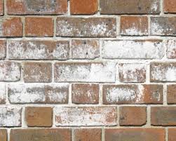 Paint Efflorescence Dulux