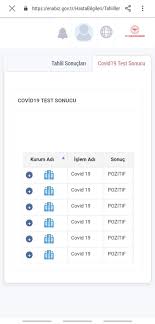 Grip aşısı ve diğer aşılar için artık e nabız sistemi üzerinden giriş yapılmaktadır. Cezaevinde Koronavirusten Olum Babam Gitti Baska Canlar Yanmasin Boldmedya