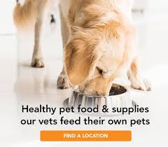 Our pet hospitals are providing reduced services and have different procedures in place to keep everyone safe. Cityvet Complete Veterinary Care Boarding Grooming Pet Care