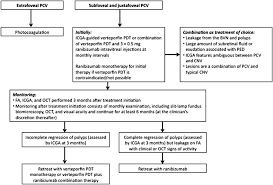 Polypoidal Choroidal Vasculopathy Management Algorithm Download Scientific Diagram