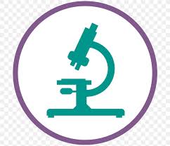 Cervical Cancer Cervical Screening Pap Test Cell Png 700x707px Cervical Cancer Area Blood Cell Breast Cancer