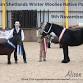 Winter woolies native pony show event image