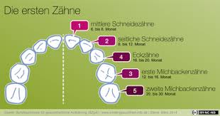 Damit sie und ihr kleines fröhlich durch die turbulente zeit kommen, gibt's hier jede menge tipps. Richtige Pflege Fur Babyzahne Prophylaxe Zahnreinigung Zahnersatz Zahnarzt Koln Suelz Klettenberg