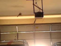 Make the garage as dark as possible with the only light. A Bird Stuck In My Garage Youtube