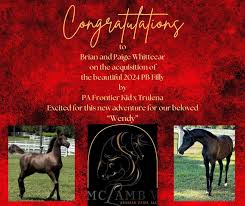 Profile for McLamb V Arabian Farm LLC