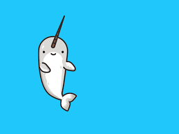 Narwhal Dancing Gif Narwhal Dancing Gif Gif