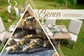 In jedem etwas größeren garten lassen sich enten halten. Bienen Vertreiben Diese 9 Hausmittel Halten Bienen Fern