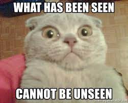 What Has Been Seen Cannot Be Unseen Geezus Cat Meme Generator