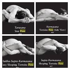 Tarasana Kurmasana Star Tortoise Yoga Asanas Poses Asana