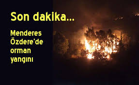 İzmir'in balçova ilçesinde ormanlık alanda yangın çıktı. Izmir Turkiye Dunya Dan Guncel Haberler