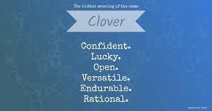 You can also add a definition of clover yourself. The Hidden Meaning Of The Name Clover Namious