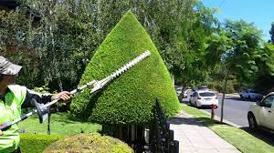 Topiary Hedge Trim Garden Maintenance Youtube Link To A Newer Version In Comments Youtube Garden Maintenance Topiary Landscape Plans