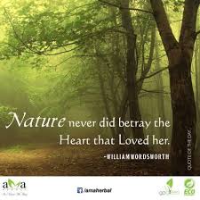 Quoteoftheday Nature Never Did Betray The Heart That Loved Her William Wordsworth Stay With Us Protect Environment Nature Quotes Nature Love Her