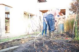 On parle de plantation en espalier, mur le long duquel on plante les arbres fruitiers. Comment Planter Un Arbre Fruitier Good Food