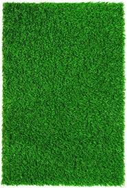 The green screen cloth is also too wrinkly — cloth only works if it's properly suspended on a frame. Great For The Front Of The Tent Everlast Turf Diamond Light Spring 120 X 90 Synthetic Lawn Grass Turf Grass Wallpaper Artificial Turf Synthetic Lawn