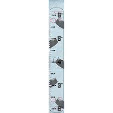 Elanah Hockey On Tapestry Personalized Growth Chart