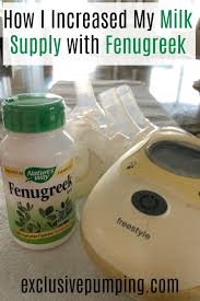 How to apply fenugreek paste on your. All About Increasing Milk Supply With Fenugreek While Breastfeeding