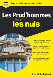 Mot de passe oublié ? Les Prud Hommes Pour Les Nuls Poche Le Rolland Patrick Amazon Fr Livres