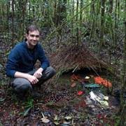 Image result for Lipotriche robinsonii