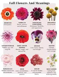 What Does A Flower Symbolize Quora Fall Flowers Types Of Flowers Flowers