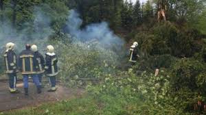 Westlich von utrecht wurden am freitag sechs. Tornado Schlug Schneise Der Verwustung Grenzecho