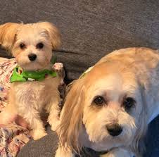 In a public statement