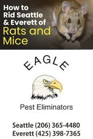 We have a great monthly treatment program to help control mosquitoes. 41 Seattle Everett Pest Control Exterminators Ideas In 2021 Pest Control Mice Pest Control Roaches Rodent Control