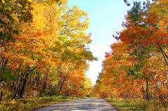 We did not find results for: Chimney Rock Park Winneshiek Ia