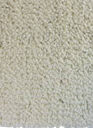 With sickness roaming through the house, we want to get rid of germs asap. Carpet Viita Natural