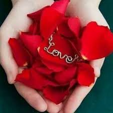 They make you feel special, graceful and elegant at the same time. Roses And Other Beautiful Flowers Home Facebook