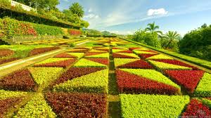 Lovely garden photo editor are best to decorate your pics like garden environments with natural garden atmosphere places that you feel it as real photos/pics. Download Beautiful Green Garden Wallpaper Full Hd Wallpapers 1920x1080 Download Hd Wallpaper Wallpapertip